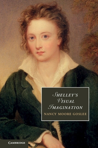 Shelley's Visual Imagination - Cambridge Studies in Romanticism 90 (Hardback)