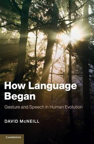How Language Began: Gesture and Speech in Human Evolution - Approaches to the Evolution of Language (Hardback)