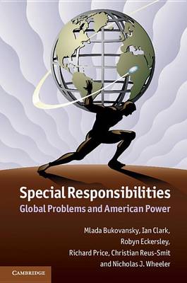 Special Responsibilities: Global Problems and American Power (Hardback)