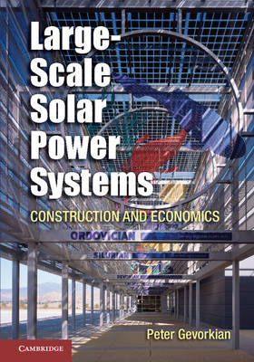 Large-Scale Solar Power Systems: Construction and Economics (Hardback)