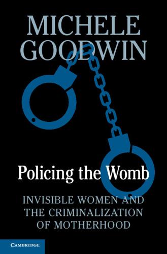 Policing the Womb: Invisible Women and the Criminalization of Motherhood (Hardback)