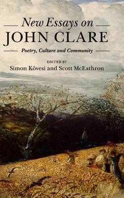 New Essays on John Clare: Poetry, Culture and Community (Hardback)