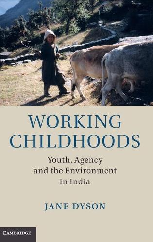 Working Childhoods: Youth, Agency and the Environment in India (Hardback)