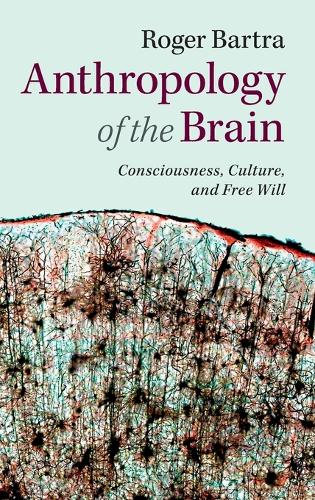 Anthropology of the Brain: Consciousness, Culture, and Free Will (Hardback)