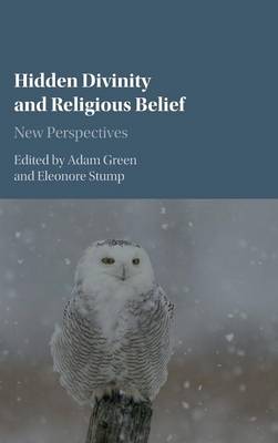 Hidden Divinity and Religious Belief: New Perspectives (Hardback)