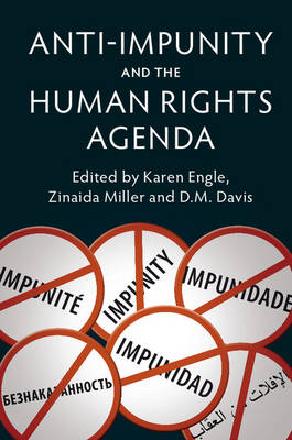 Anti-Impunity and the Human Rights Agenda (Hardback)