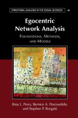 Structural Analysis in the Social Sciences: Egocentric Network Analysis : Foundations, Methods, and Models Series Number 44 (Hardback)