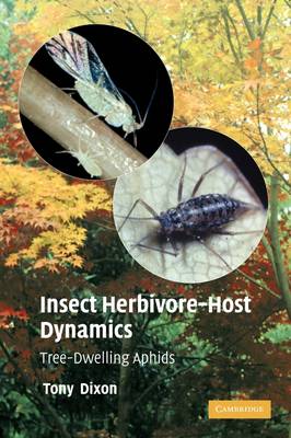 Insect Herbivore-Host Dynamics: Tree-Dwelling Aphids (Paperback)
