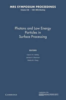 Photons and Low Energy Particles in Surface Processing: Volume 236 - MRS Proceedings (Paperback)