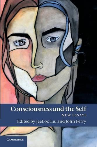Consciousness and the Self: New Essays (Paperback)