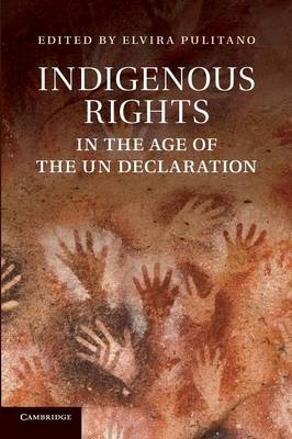 Indigenous Rights in the Age of the UN Declaration (Paperback)
