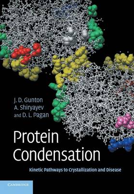 Protein Condensation: Kinetic Pathways to Crystallization and Disease (Paperback)