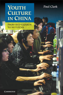 Youth Culture in China: From Red Guards to Netizens (Paperback)