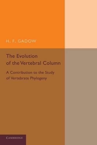 The Evolution of the Vertebral Column: A Contribution to the Study of Vertebrate Phylogeny (Paperback)