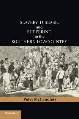 Cambridge Studies on the American South: Slavery, Disease, and Suffering in the Southern Lowcountry (Paperback)