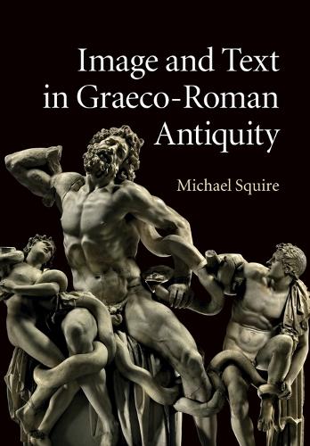 Image and Text in Graeco-Roman Antiquity (Paperback)