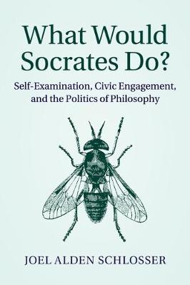 What Would Socrates Do?: Self-Examination, Civic Engagement, and the Politics of Philosophy (Paperback)