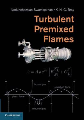 Turbulent Premixed Flames (Paperback)