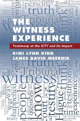 The Witness Experience: Testimony at the ICTY and Its Impact (Hardback)
