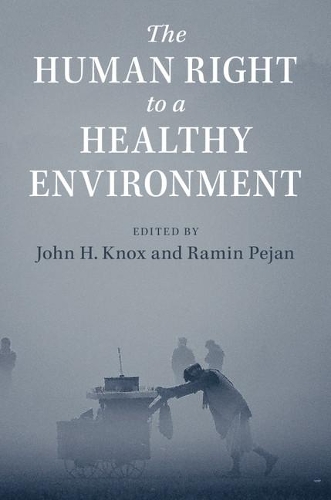 The Human Right to a Healthy Environment (Paperback)