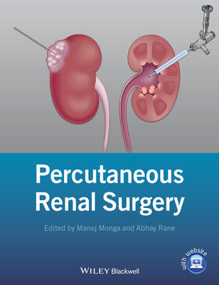 Percutaneous Renal Surgery (Hardback)