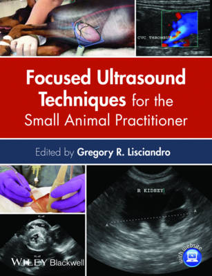 Focused Ultrasound Techniques for the Small Animal Practitioner (Hardback)