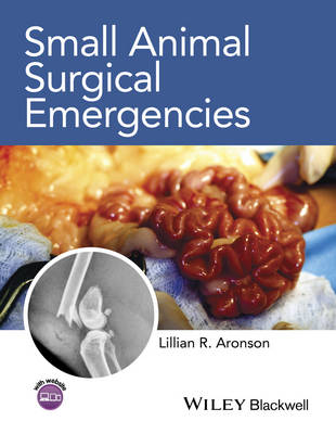 Small Animal Surgical Emergencies (Hardback)