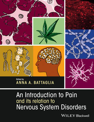 An Introduction to Pain and its relation to Nervous System Disorders (Paperback)