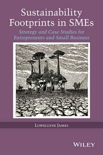 Sustainability Footprints in Smes: Strategy and Case Studies for Entrepreneurs and Small Business (Hardback)