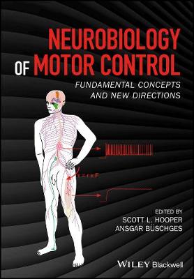 Neurobiology of Motor Control: Fundamental Concepts and New Directions (Hardback)