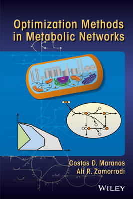 Optimization Methods in Metabolic Networks (Hardback)
