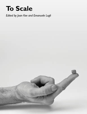 To Scale - Art History Special Issues (Paperback)