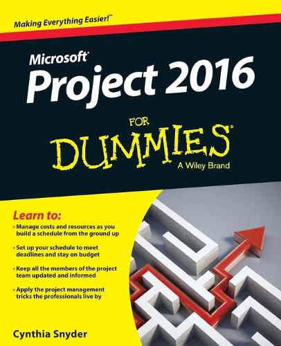 Project 2016 For Dummies (Paperback)