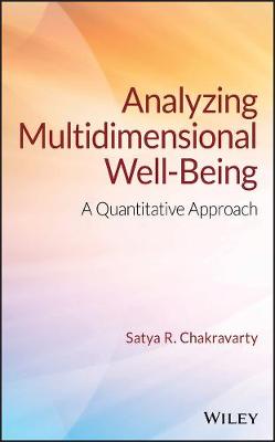 Analyzing Multidimensional Well-Being: A Quantitative Approach (Hardback)