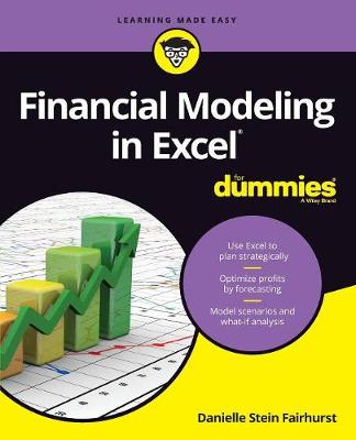 Financial Modeling in Excel For Dummies (Paperback)