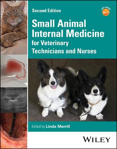 SMALL ANIMAL INTERNAL MEDICINE 第4版 上・下巻 Small Animal