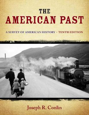 The American Past: A Survey of American History (Hardback)