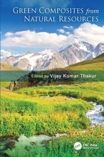 Green Composites from Natural Resources (Paperback)