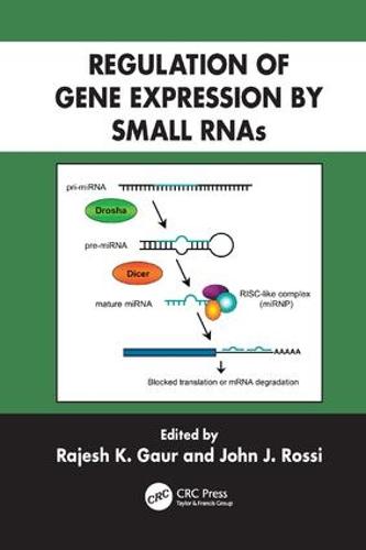 Regulation of Gene Expression by Small RNAs (Paperback)