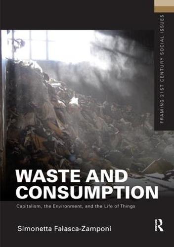Waste and Consumption: Capitalism, the Environment, and the Life of Things - Framing 21st Century Social Issues (Hardback)