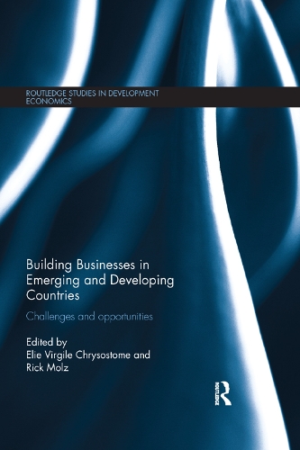Building Businesses in Emerging and Developing Countries: Challenges and Opportunities - Routledge Studies in Development Economics (Paperback)