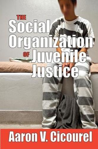 The Social Organization of Juvenile Justice (Hardback)