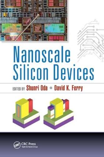 Nanoscale Silicon Devices (Paperback)
