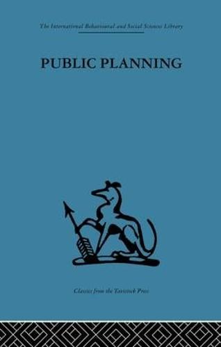 Public Planning: The inter-corporate dimension (Paperback)