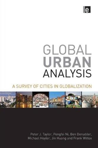 Global Urban Analysis: A Survey of Cities in Globalization (Paperback)