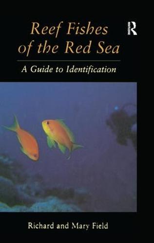Reef Fish Of The Red Sea (Paperback)