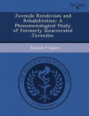 Juvenile Recidivism and Rehabilitation: A Phenomenological Study of Formerly Incarcerated Juveniles (Paperback)