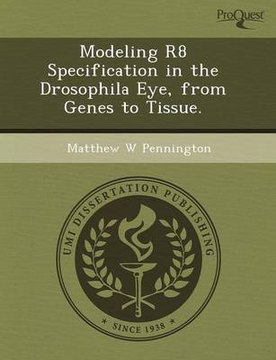 Modeling R8 Specification in the Drosophila Eye (Paperback)