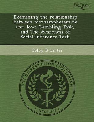 Examining the Relationship Between Methamphetamine Use (Paperback)