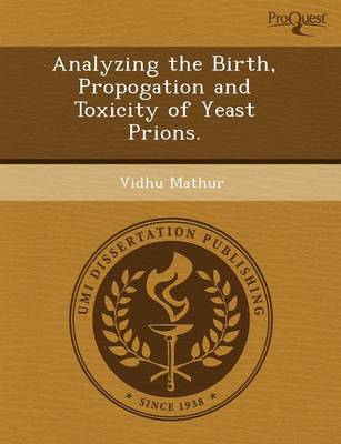 Analyzing the Birth (Paperback)